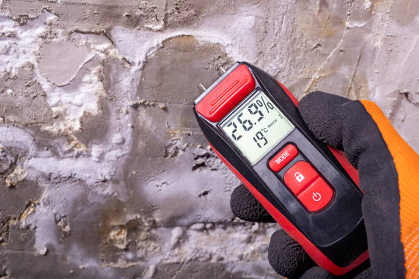 Best Commercial Mold Removal  in Lawrence, IN