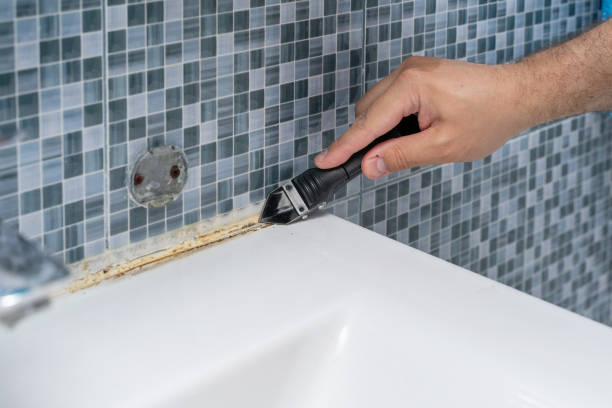 Best Professional Mold Removal  in Lawrence, IN