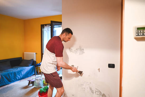 Best Mold Cleaning Services  in Lawrence, IN