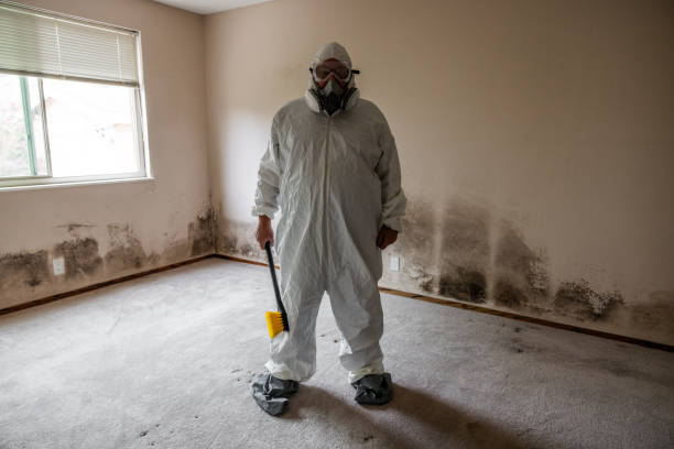 Best Fast Mold Removal  in Lawrence, IN