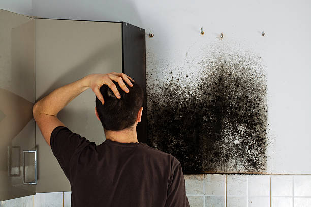 Certified Mold Removal in Lawrence, IN